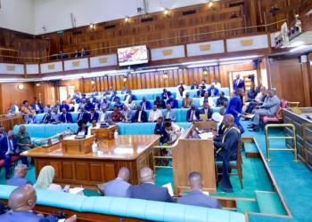 Deputy Speaker Directs Finance Minister on Shilling Depreciation