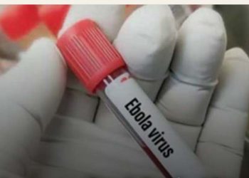 Uganda Moves to Quell Panic After Kenya’s Imported Ebola Death