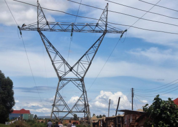 Muwonge First Ugandan Convicted of Terrorism Over Power Vandalism