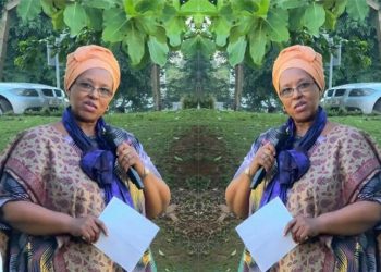 Africa’s Independence Remains Incomplete Says Kabayo
