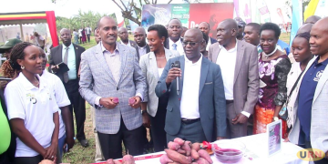 NARO Unveils Purple Sweet Potato Variety