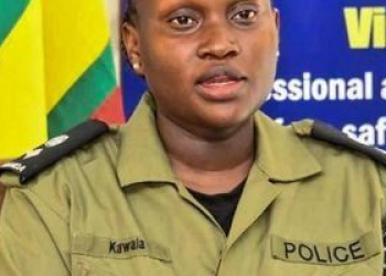 Woman Dies After Alleged Stabbing by Former Partner