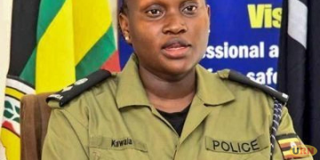 Woman Dies After Alleged Stabbing by Former Partner