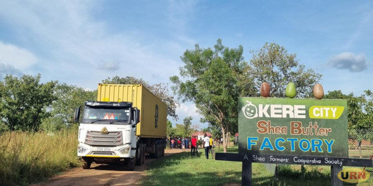 Okere Shea Cooperative Exports 23 Tons of Shea Butter to United States
