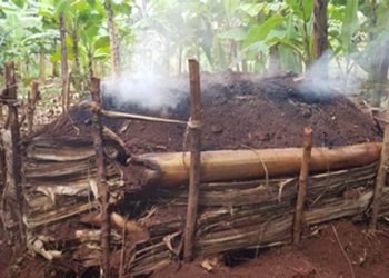 Some Farmers in Ankole Laud Government for Charcoal Ban