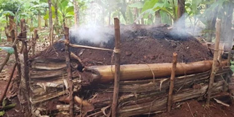 Some Farmers in Ankole Laud Government for Charcoal Ban