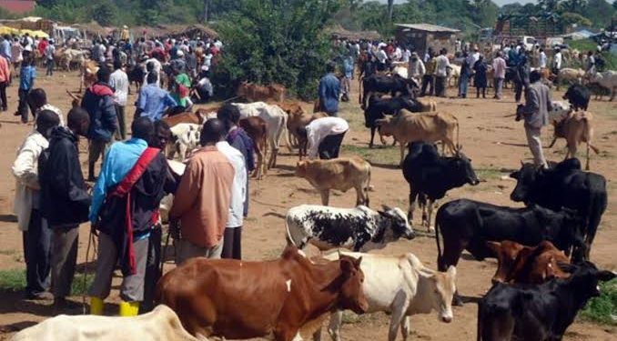 Government Imposes Livestock Quarantine in Nakaseke Over Foot and Mouth Disease