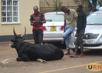 Mob Storms Police Over Suspected Cattle Thieves