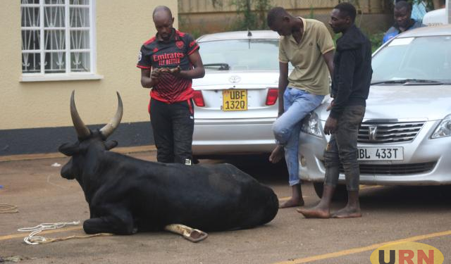 Mob Storms Police Over Suspected Cattle Thieves