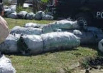 Koboko Police Impound 40 Sacks of Illegal Charcoal, Suspects on Run