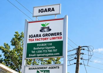 Igara Tea Factory Faces Auction Over Shs5 Billion Loan Arrears