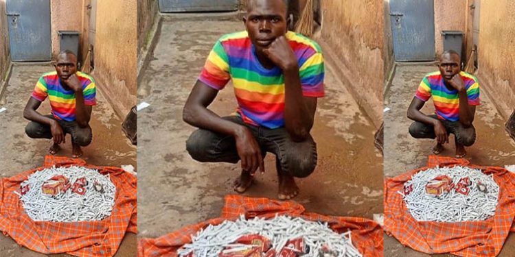 Arua Police Arrest Bus Passenger With 1,000 Rolls of Marijuana Aboard Bus